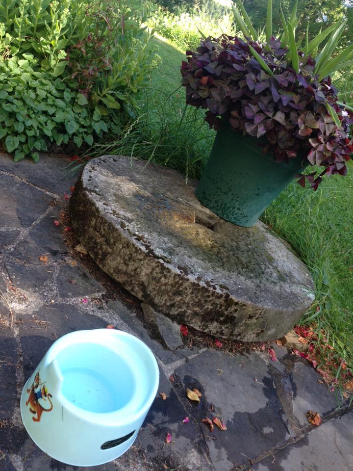 Töpfchen Töpfchen…
