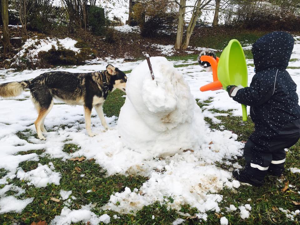 Kind-Hund-Terror-Wahnsinn