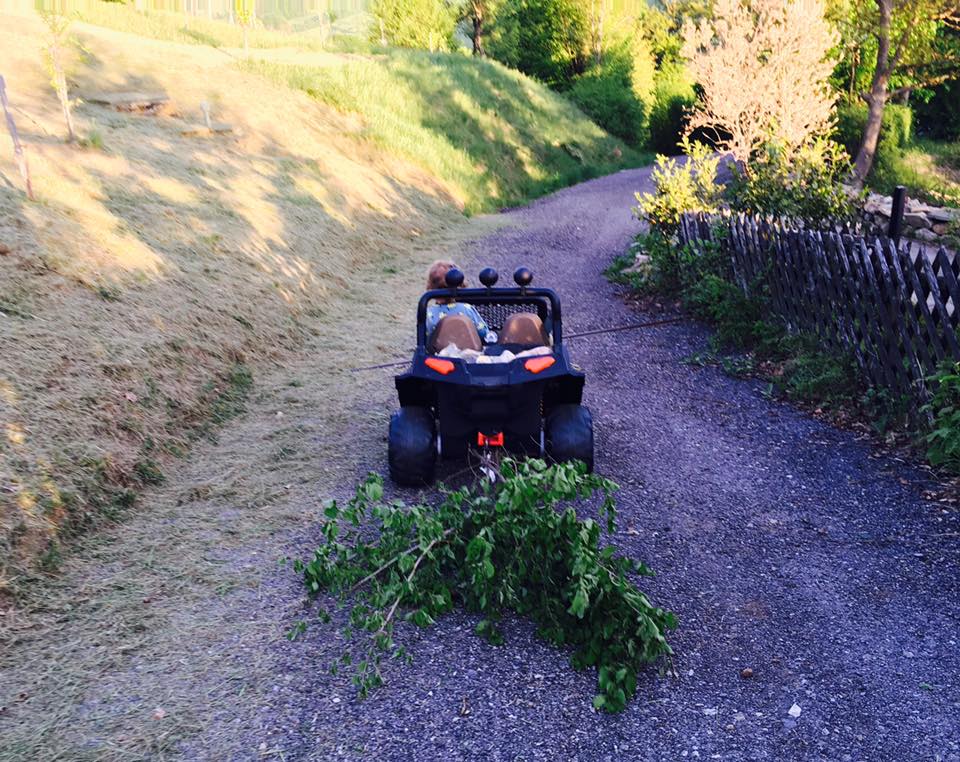 Gartenarbeit