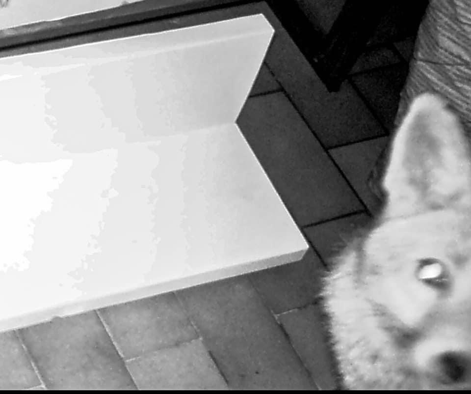 Das Futter-Mysterium